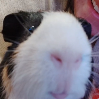 Got any games on your phone