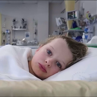 caramel slice /violas