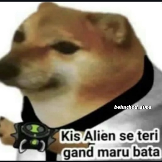 Dogesh ben 10 Discord sticker