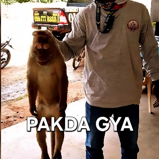 Pakda gaya  Discord sticker