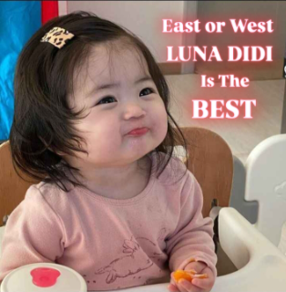Luna_didi_best