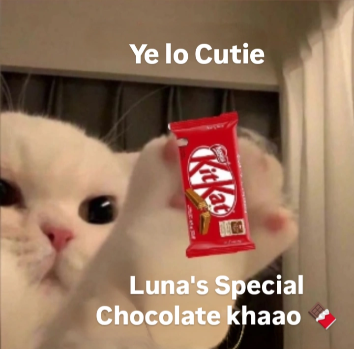 Luna_didi's_chocolate