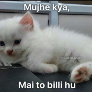 Chill billi