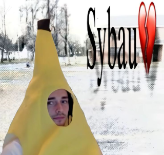 leclerc sybau /cheriies