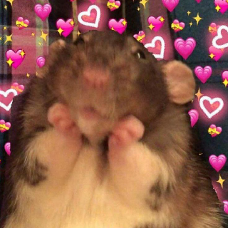 cute wambie ◇ .gg/tainted