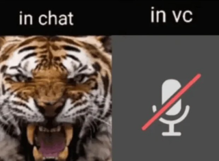 in chat vs in vc Discord sticker