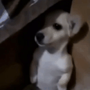 don't come near me pls