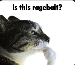 ts ragebait?
