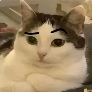 Чё Discord sticker