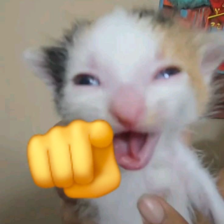 АХАХ Discord sticker