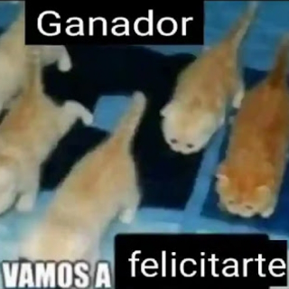 Ganador