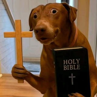 dog bible ◇ .gg/tainted
