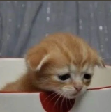 Sadness Discord sticker