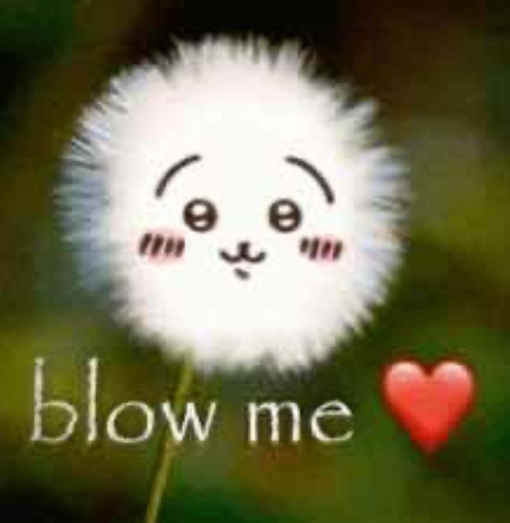 blow me 🥺