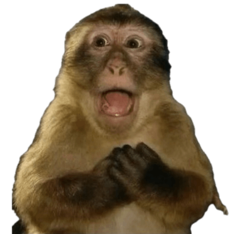 Surprised Monkey Discord sticker