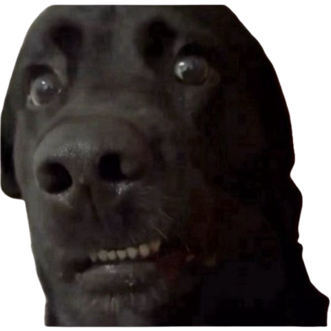 Wtf Discord sticker