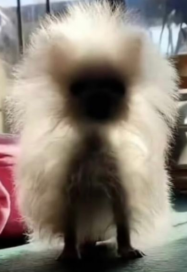 what did you just say to me