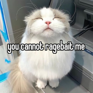 Cat ragebait 