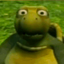 turtle stare Discord sticker