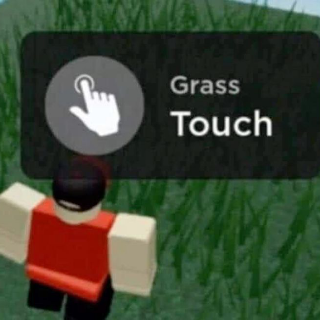 Touch grass