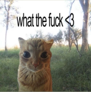 what the fuck /cemetery