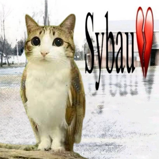 Sybau Twin | wermach.xyz