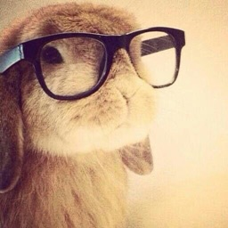 bunny |   gg/pakistan