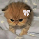 mad kitty  .gg/snore