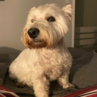 lola side eye /kaisers