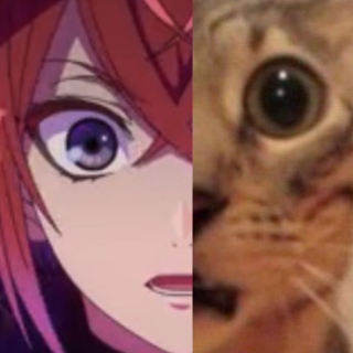 Riddle cat /heartscord