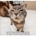 We know you’re gay