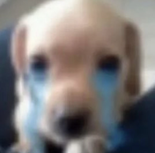 Dogcrying____gg_freaky