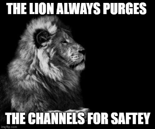 The Lion | wermach.xyz