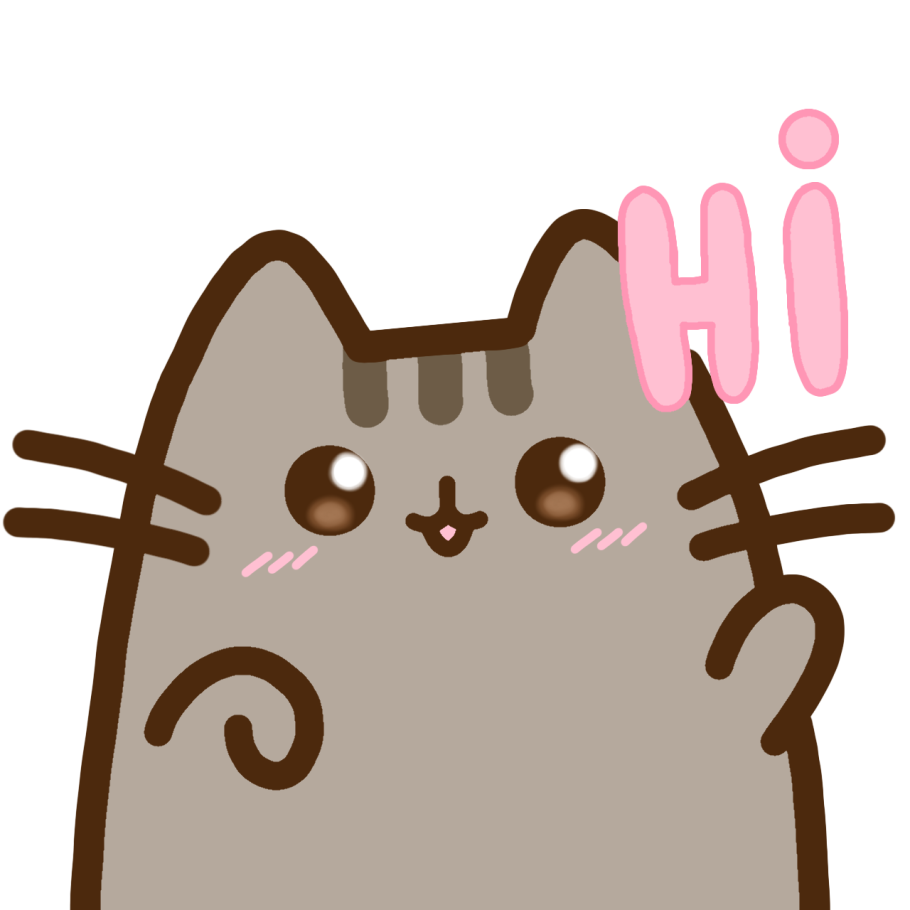 pusheen__cub