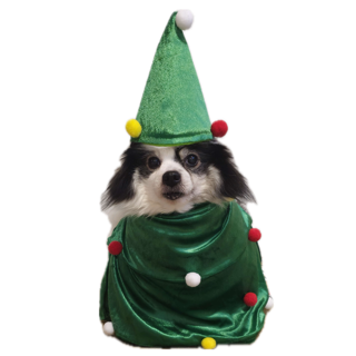 Dog Discord sticker