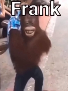 frank pt.2 