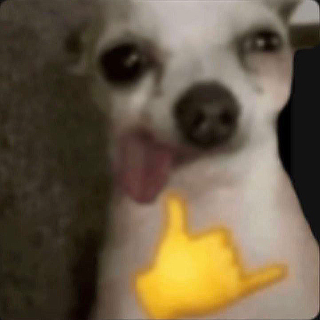 Chill Cool Rad Swag Dawg Discord sticker