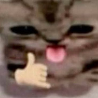 Rahhhh dude 🤙🏼