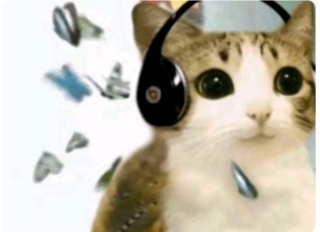 chat écouteurs | .gg/renfra
