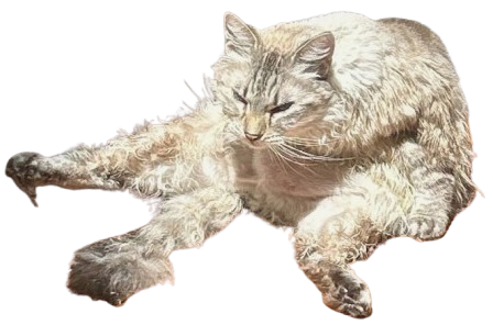 geniemop Discord sticker