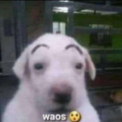 waos Discord sticker