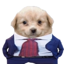 dog suit |  gg/pot