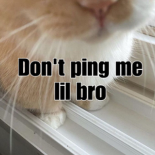 Don’t ping me bro Discord sticker
