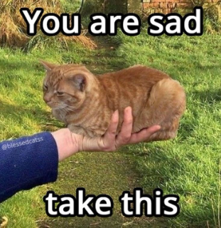 you are sad take this