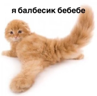 Балбесик Discord sticker