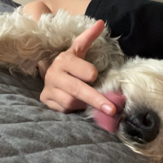 lola fuck you /kaisers