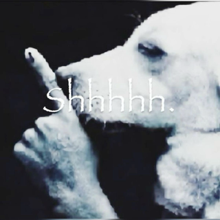 Shhh