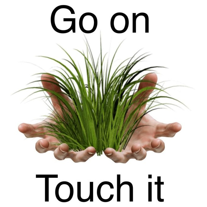 TouchGrass
