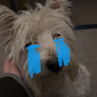 lola crying /kaisers