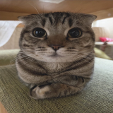 destiny | .gg/supacon